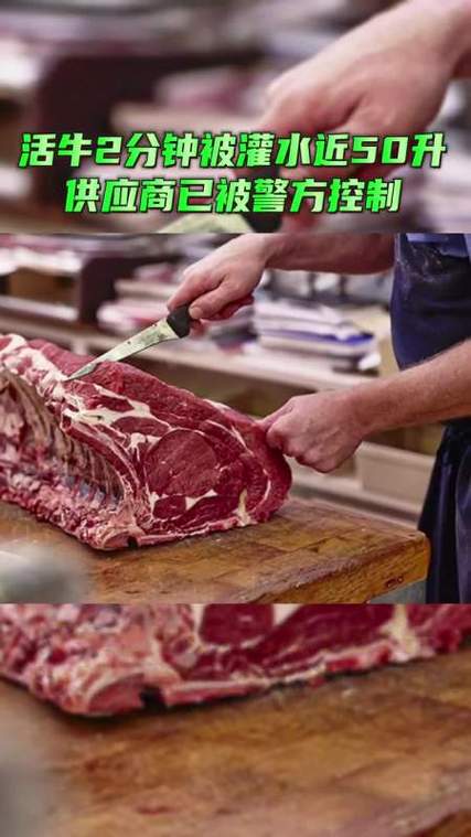 東莞調(diào)查取證公司-活牛被強(qiáng)行澆水，肉被賣到很多地方？東莞通報